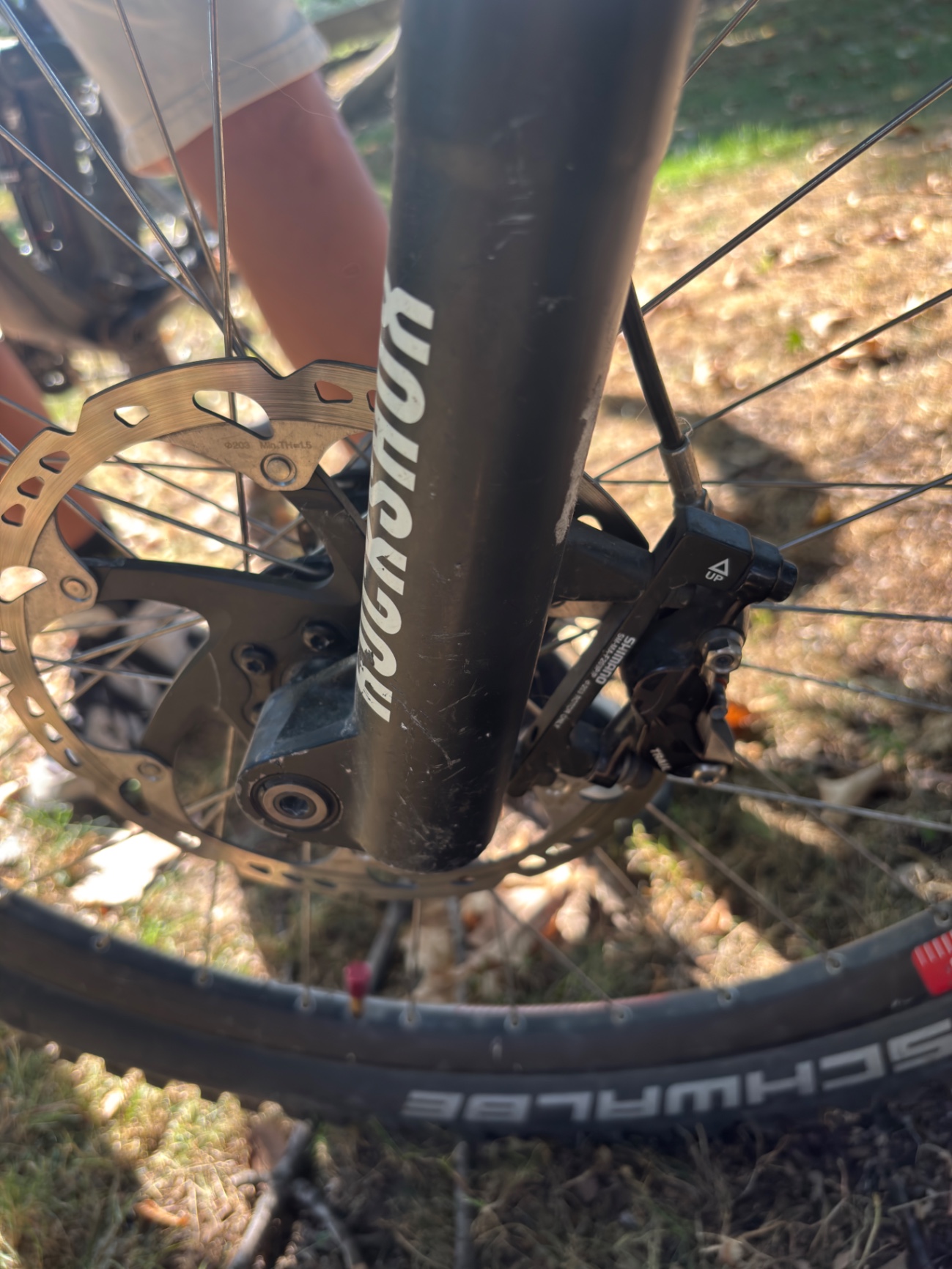 Bike view 5