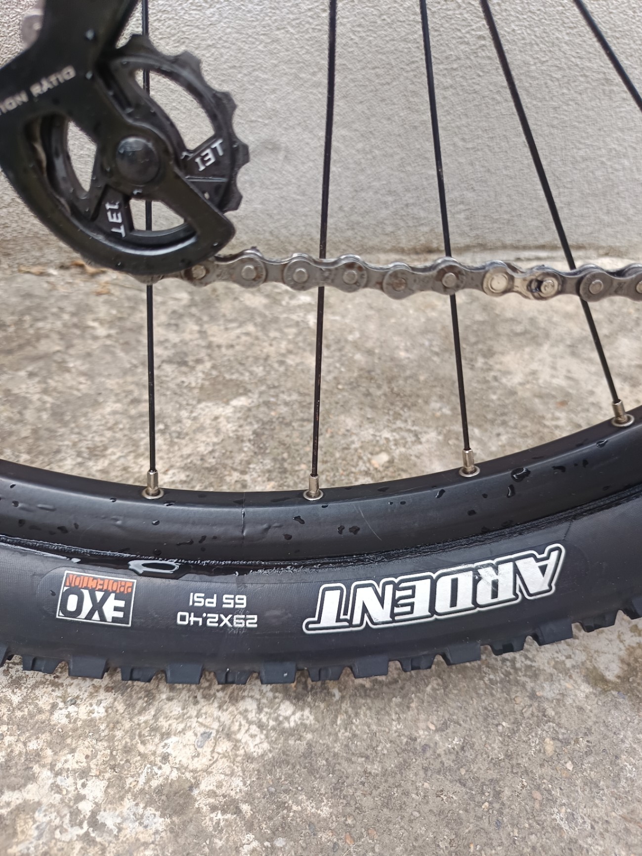 Bike view 11