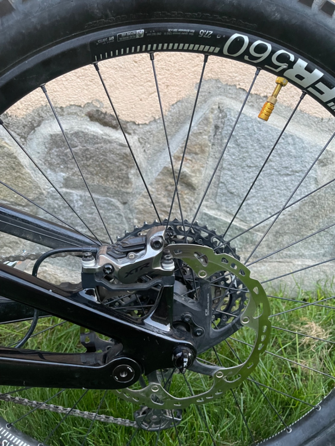 Bike view 7