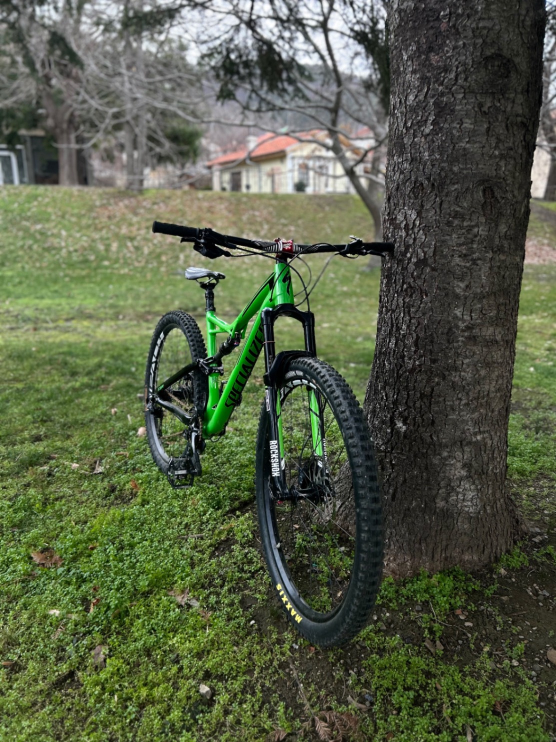 Bike view 8