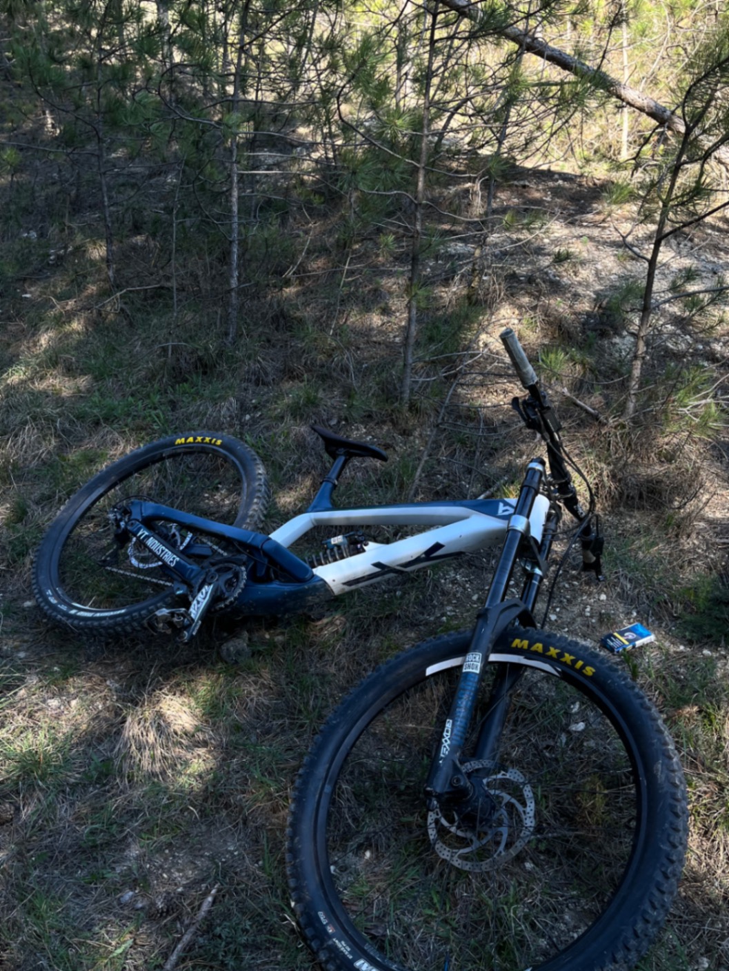Bike view 2
