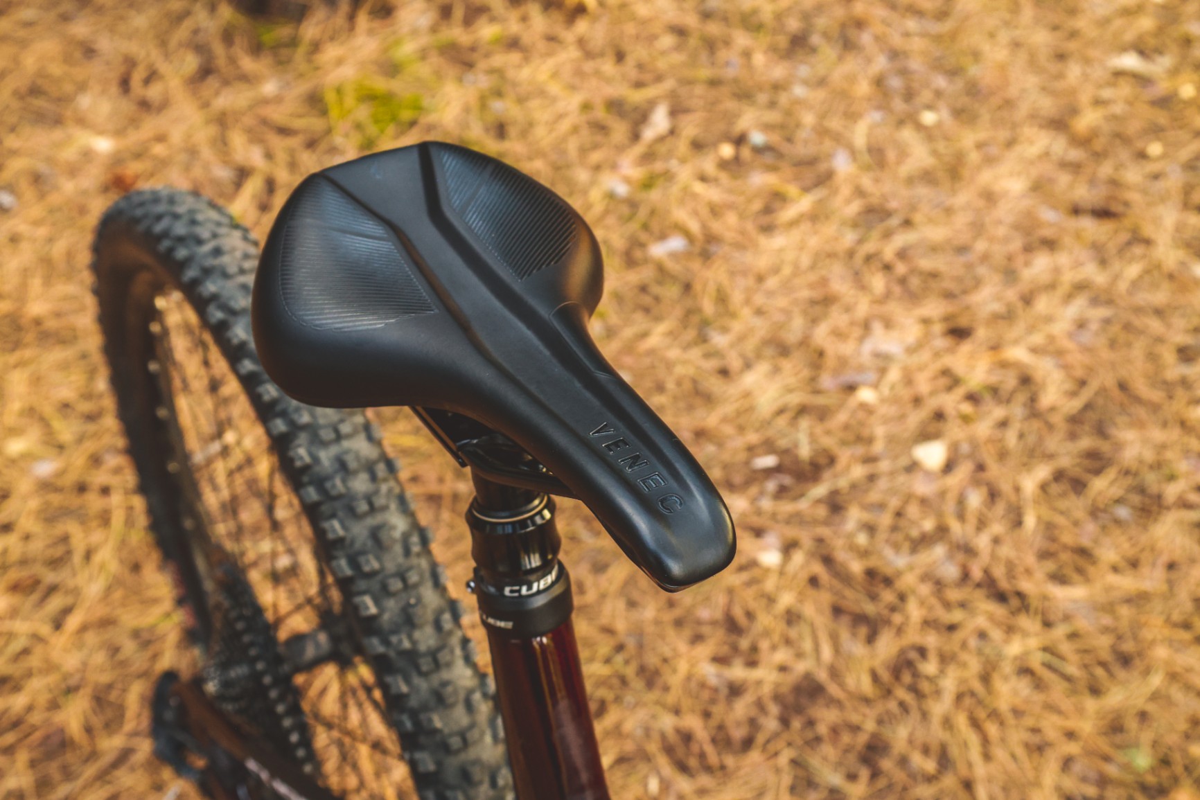 Bike view 9