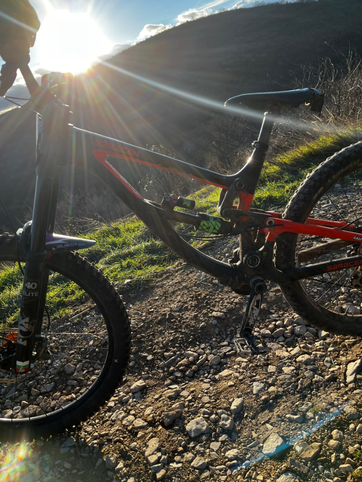 Saracen Myst X view 7