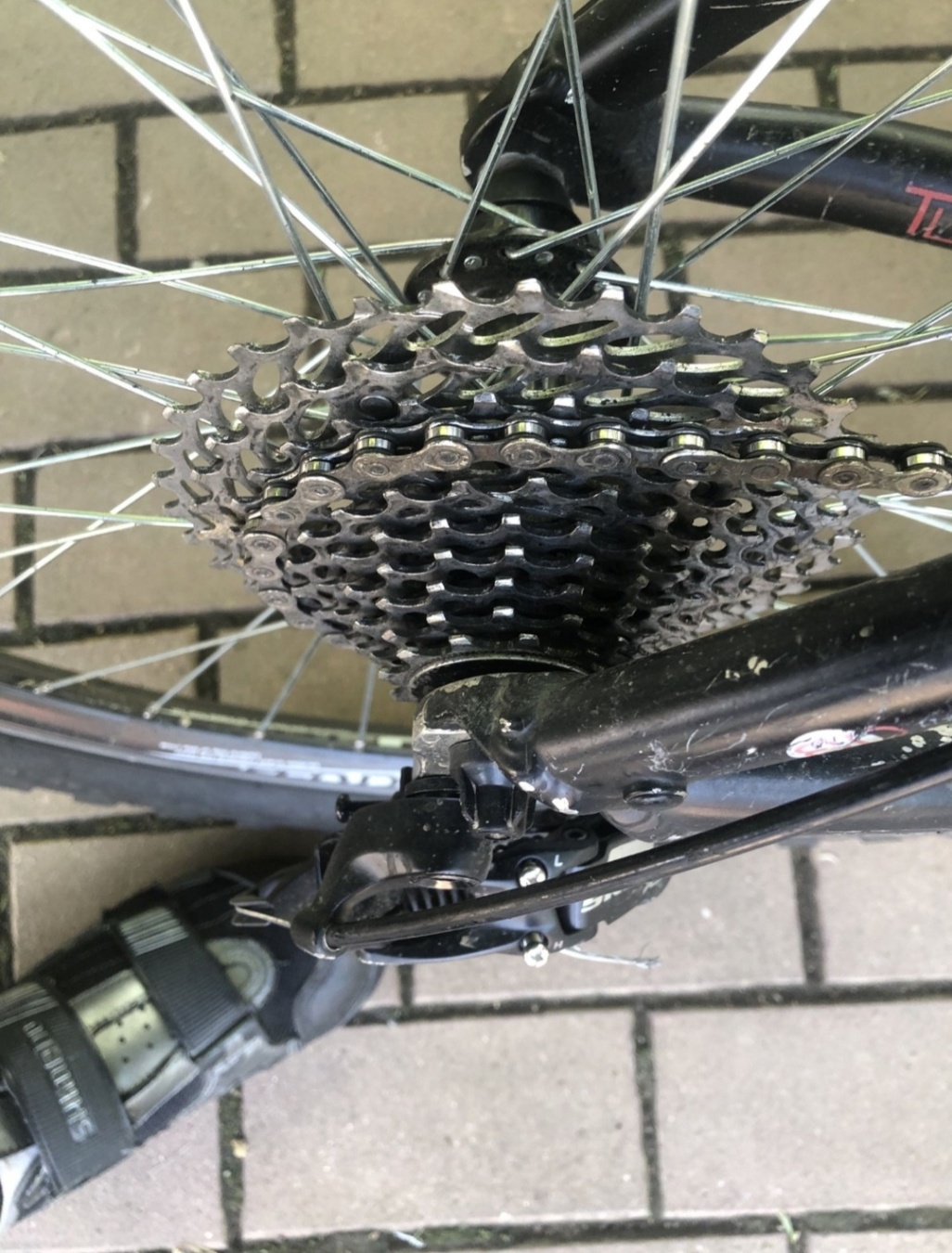 Bike view 6