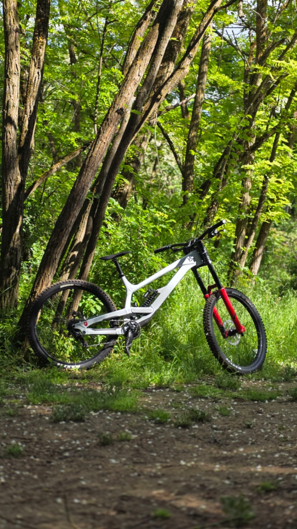 Bike view 5