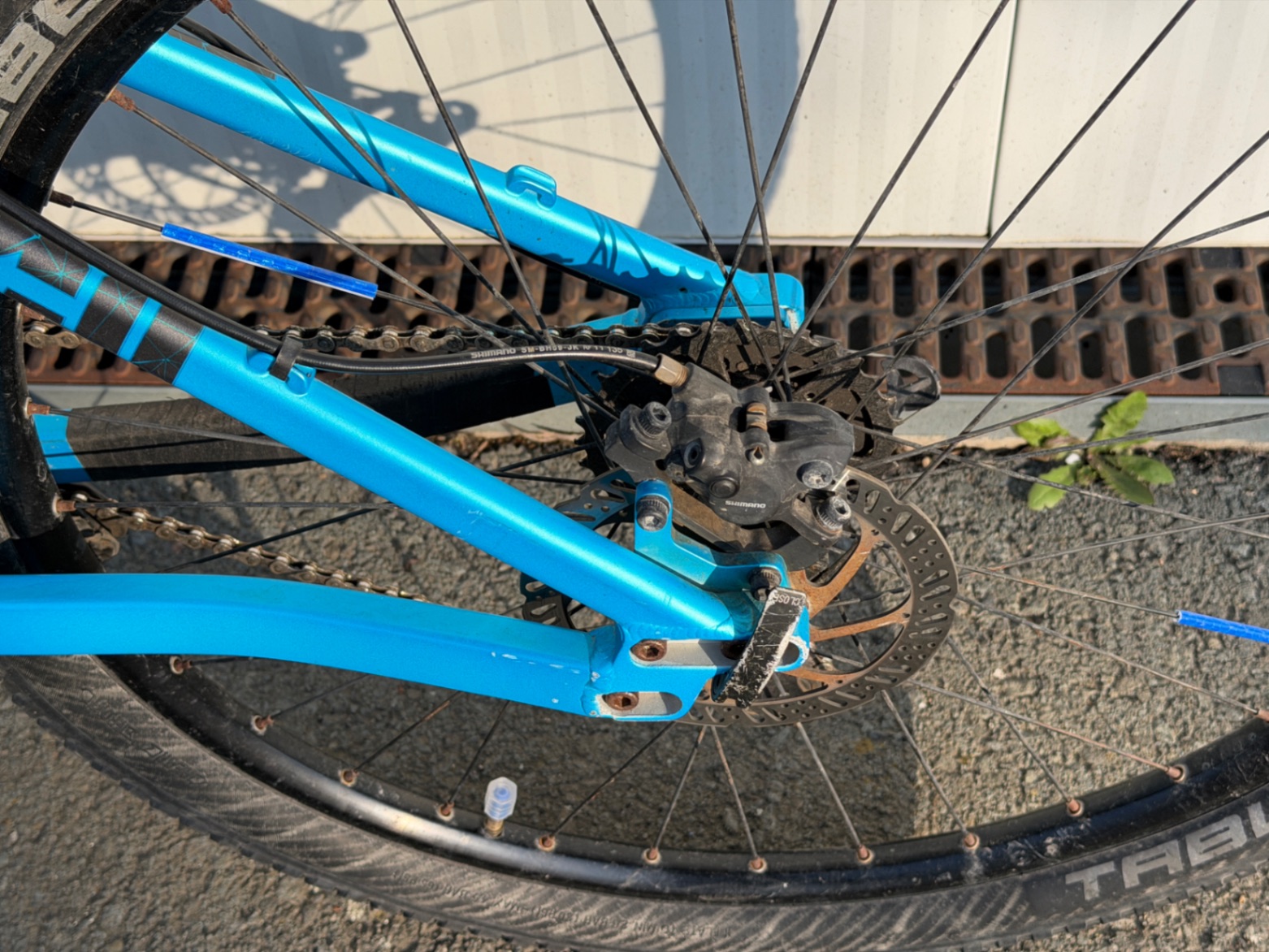 Bike view 7