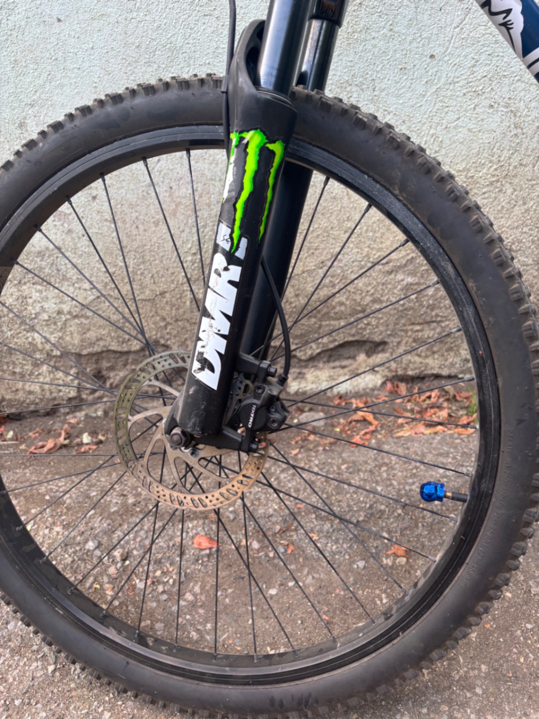 Bike view 7
