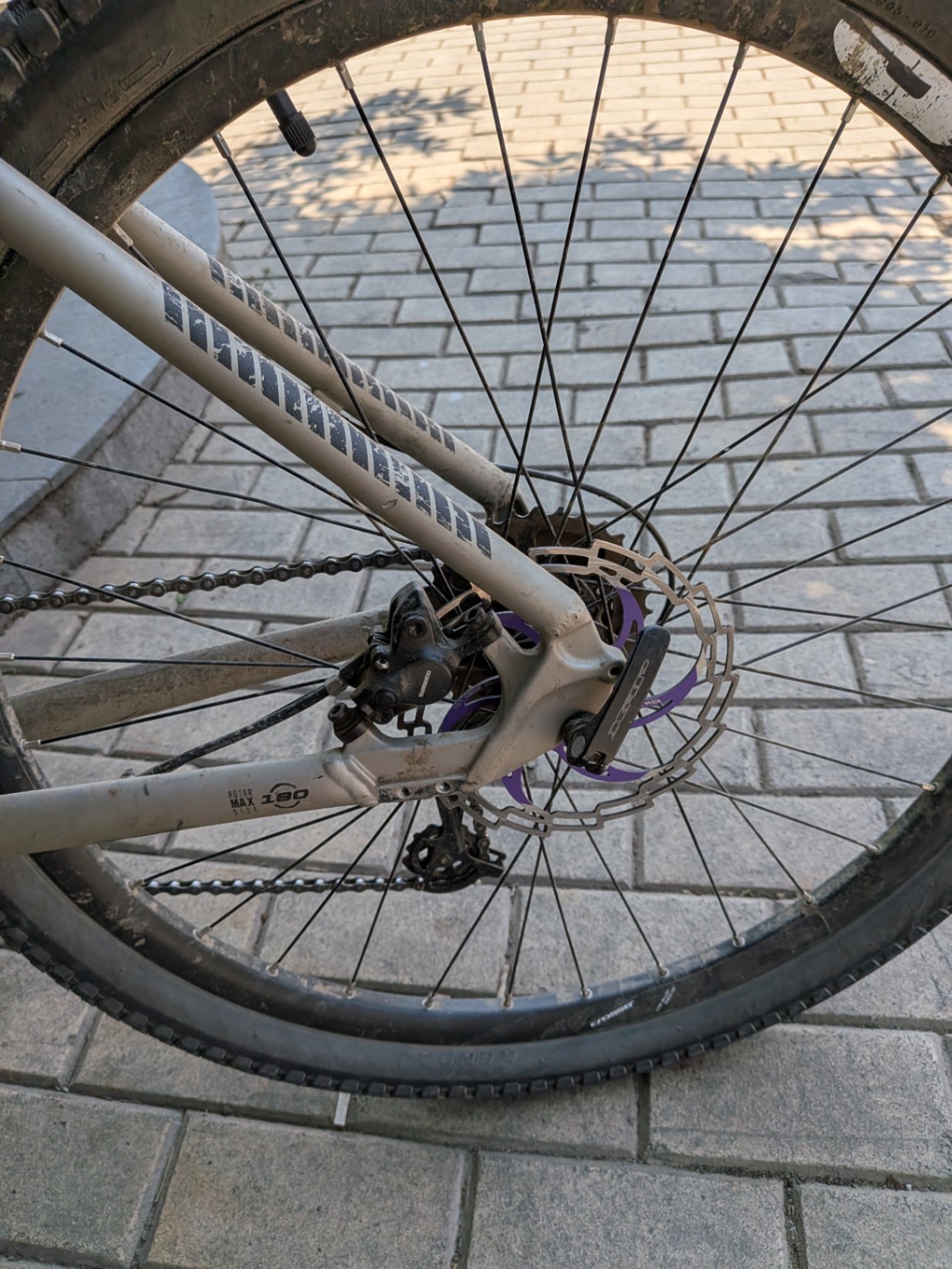 Bike view 5