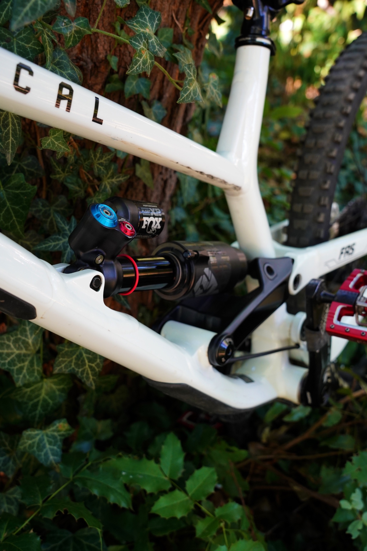 Bike view 7