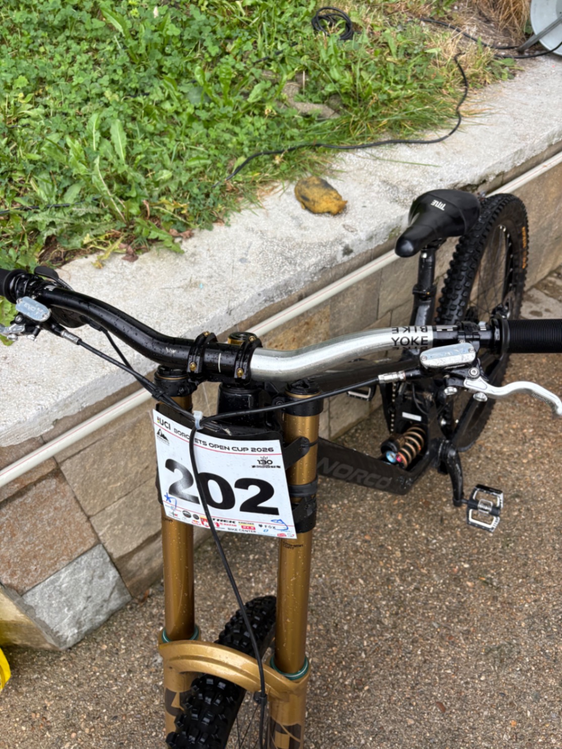 Bike view 8