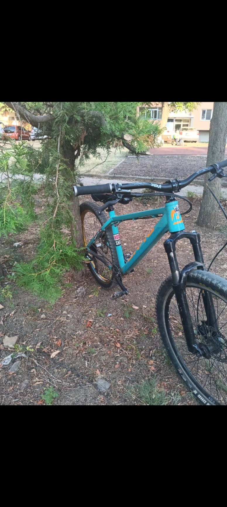 Bike view 12