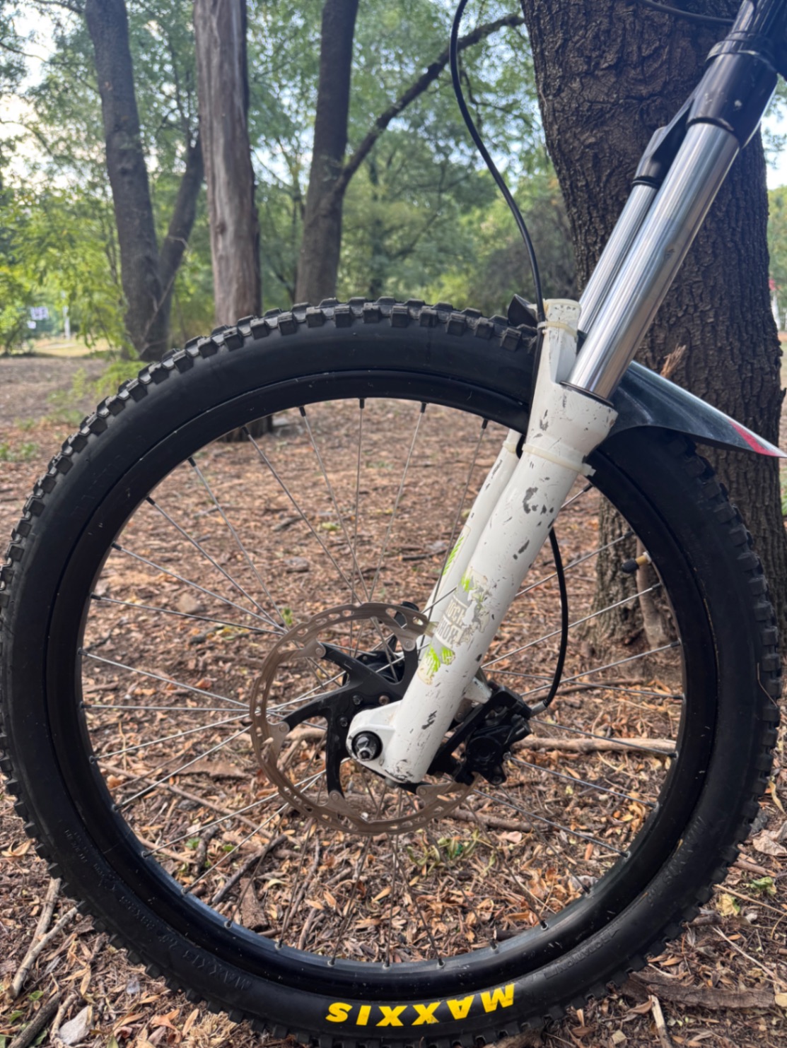 Bike view 12
