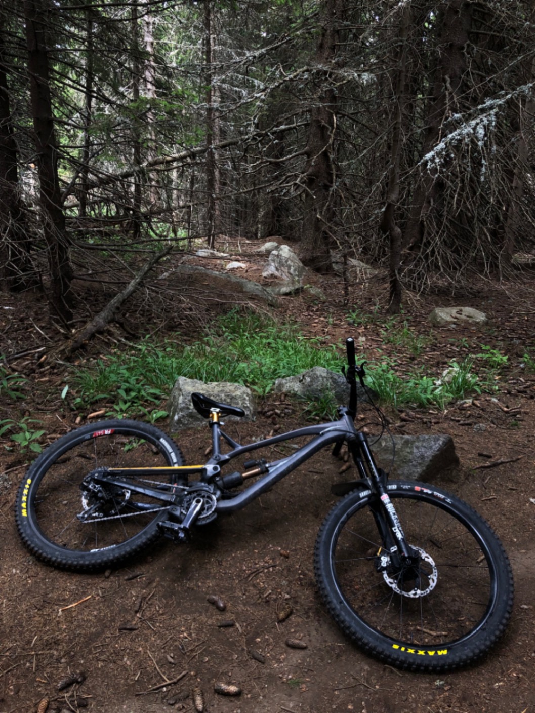 Bike view 9