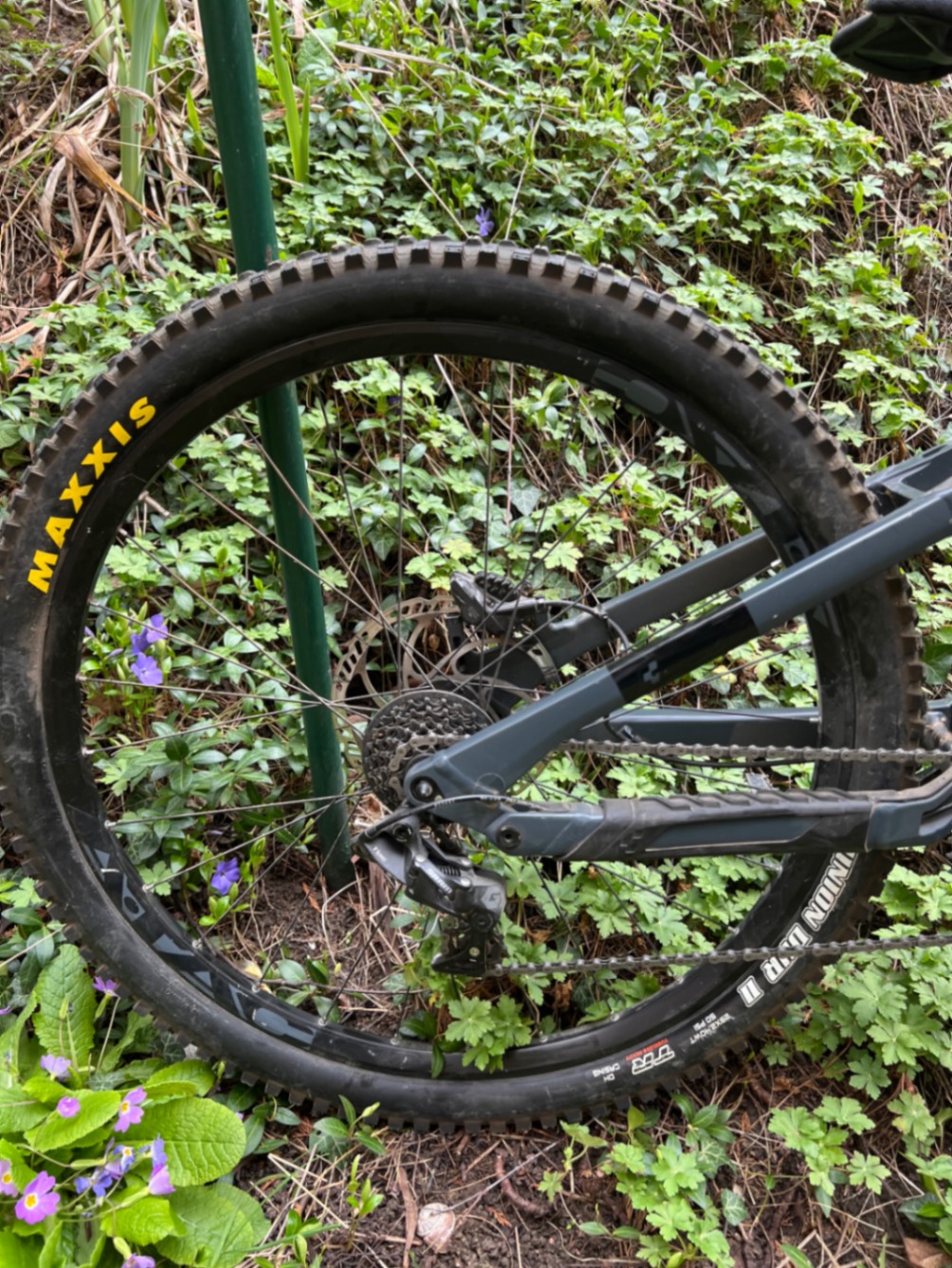 Bike view 11