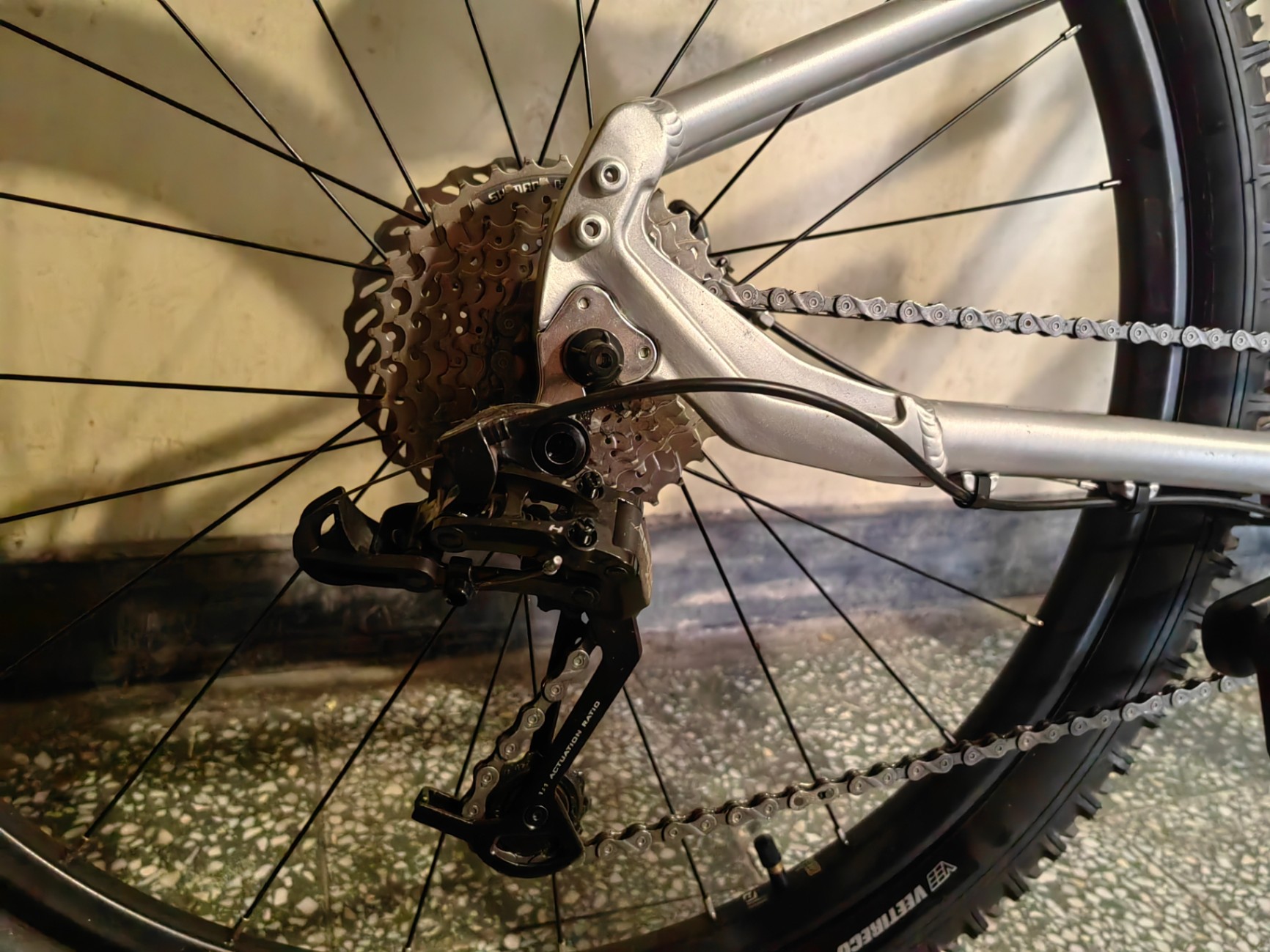 Bike view 7