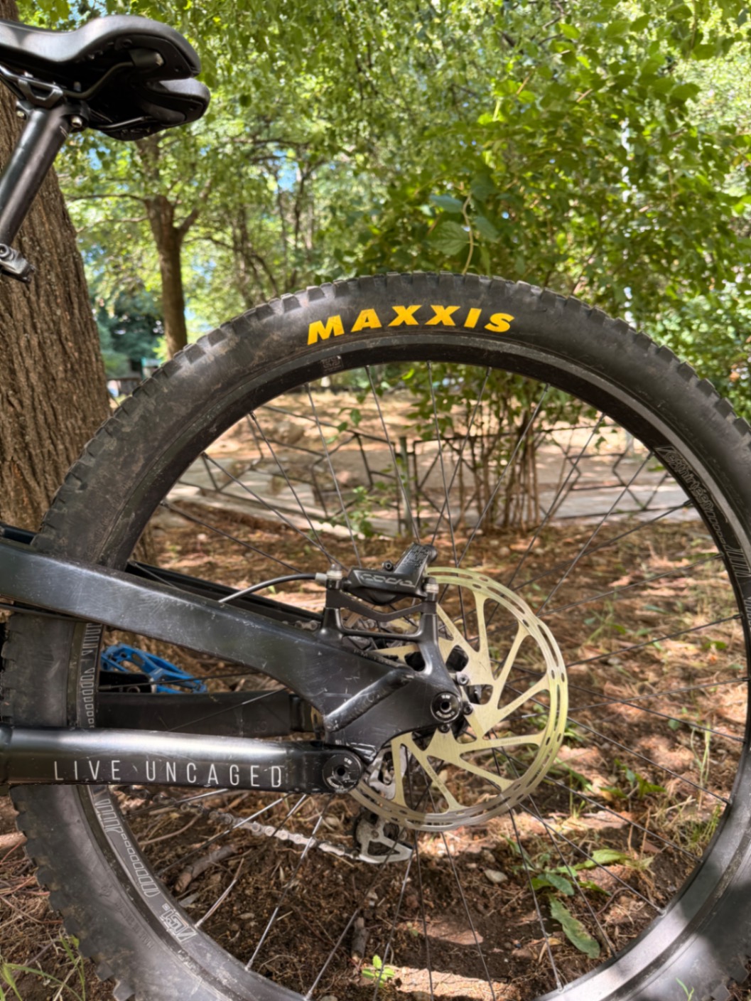 Bike view 6