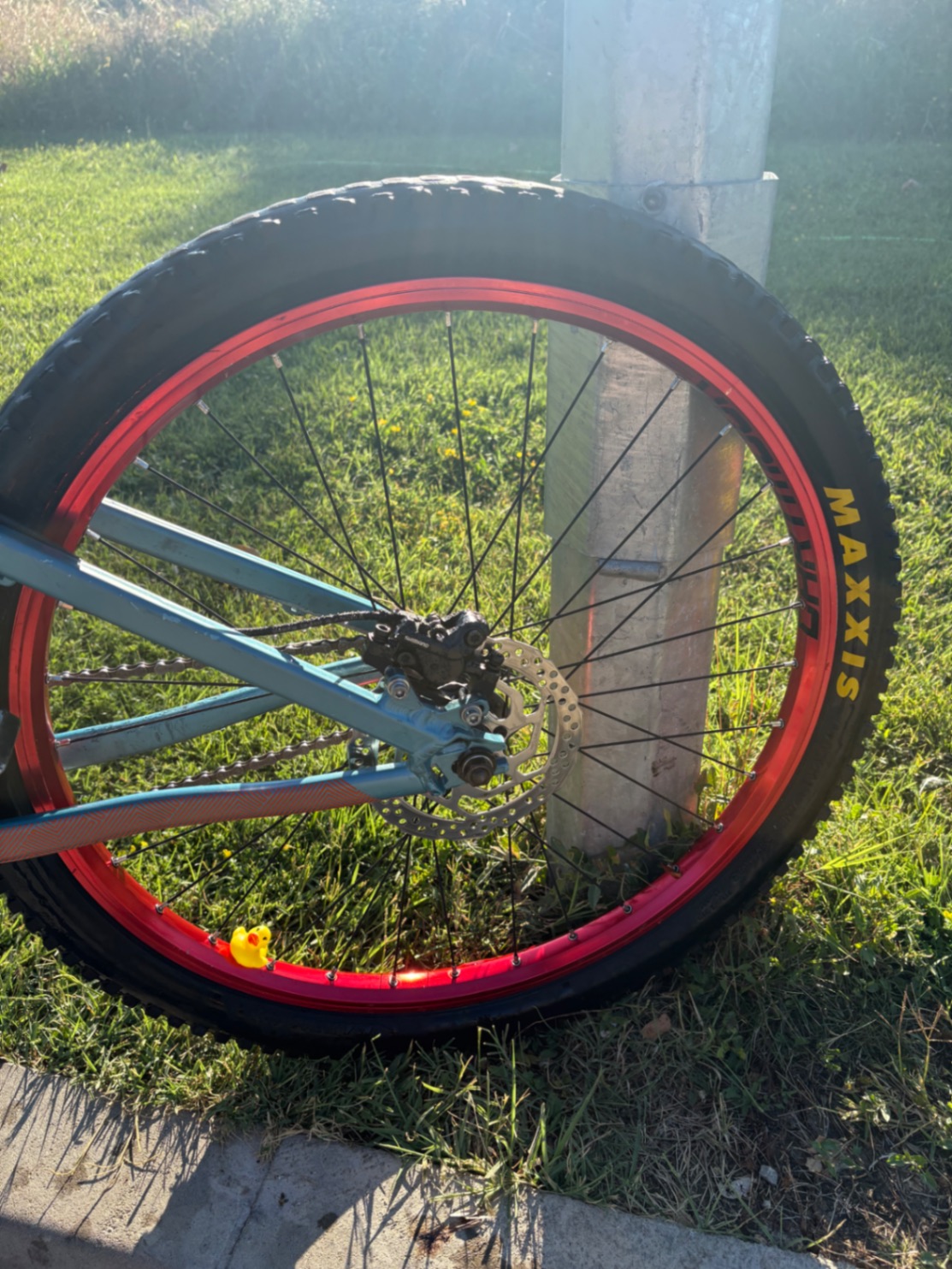 Bike view 6