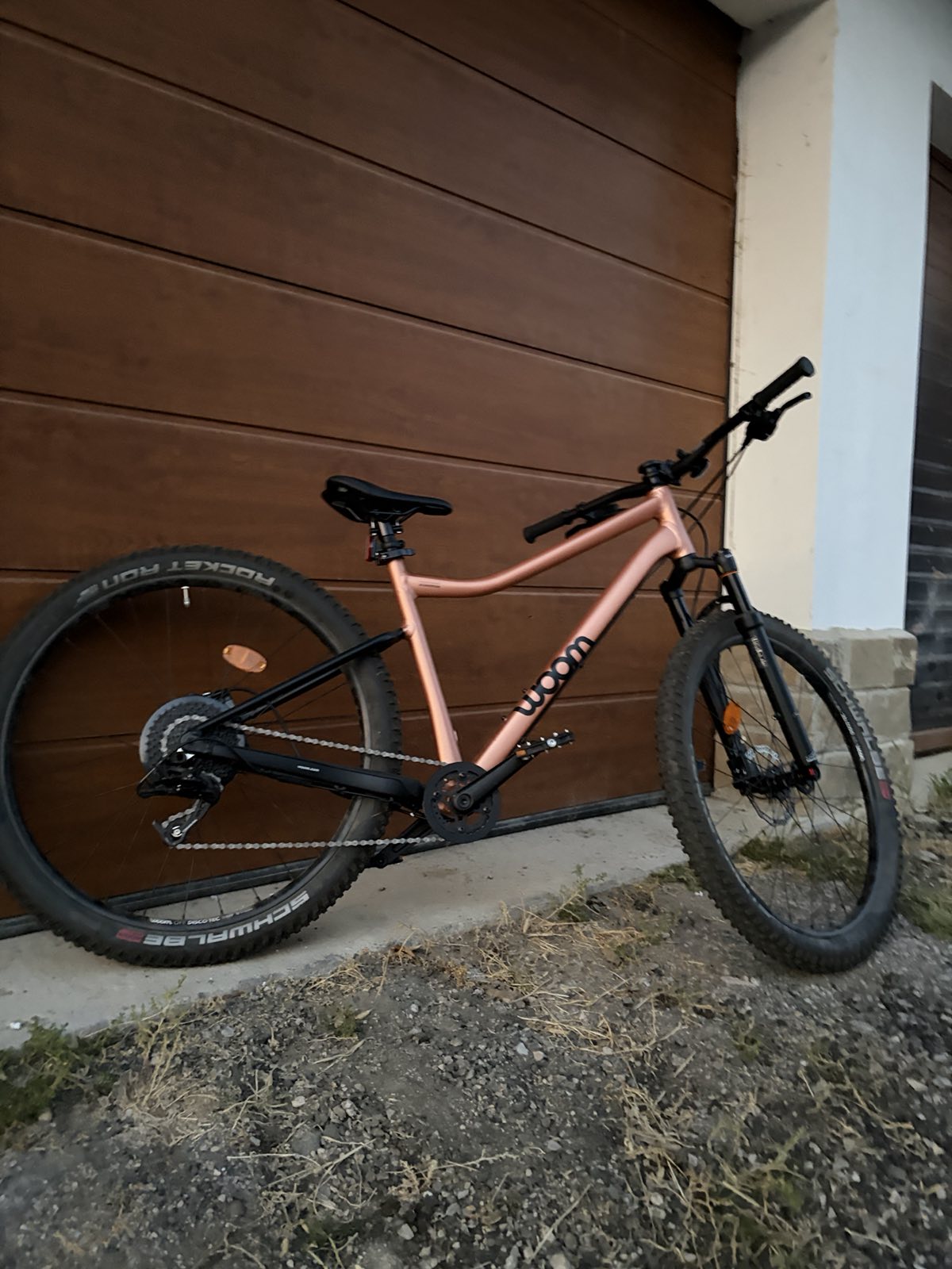 Bike view 2