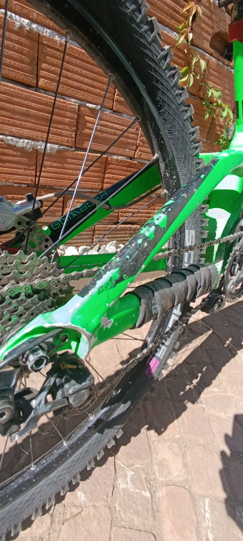 Bike view 5