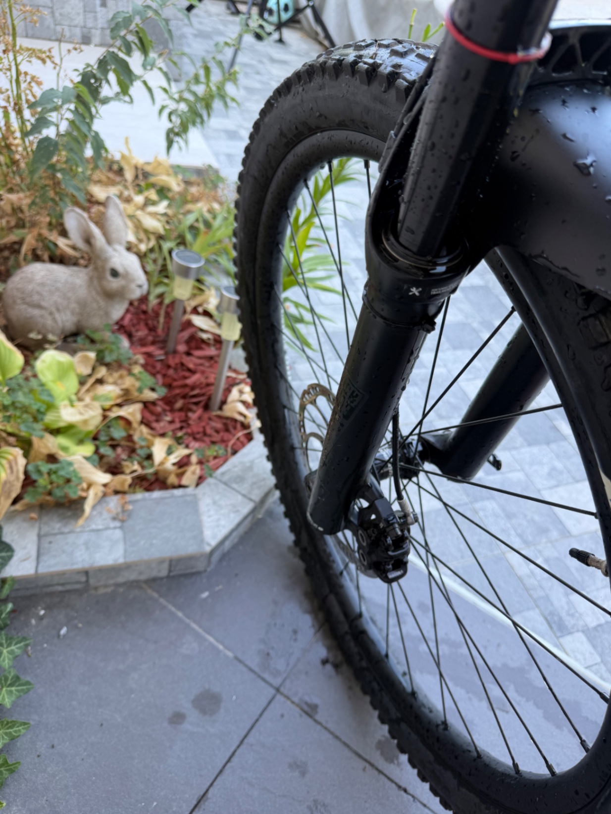 Bike view 8