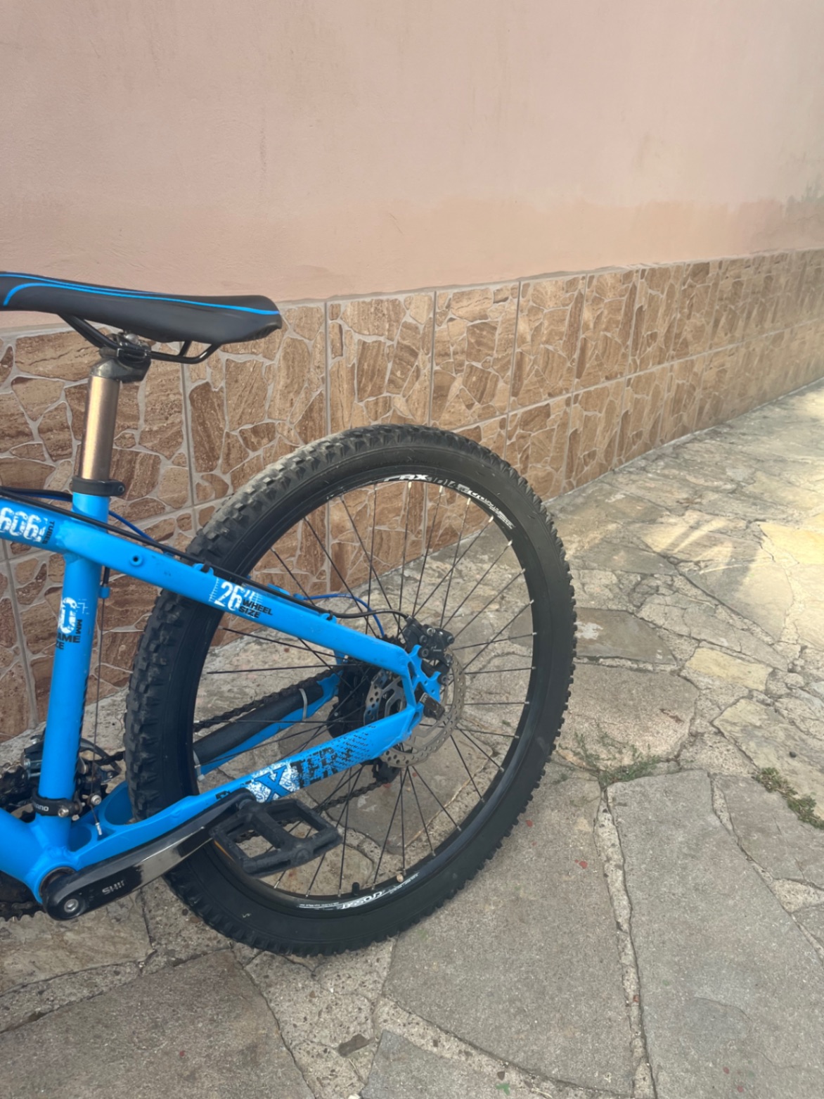 Bike view 9