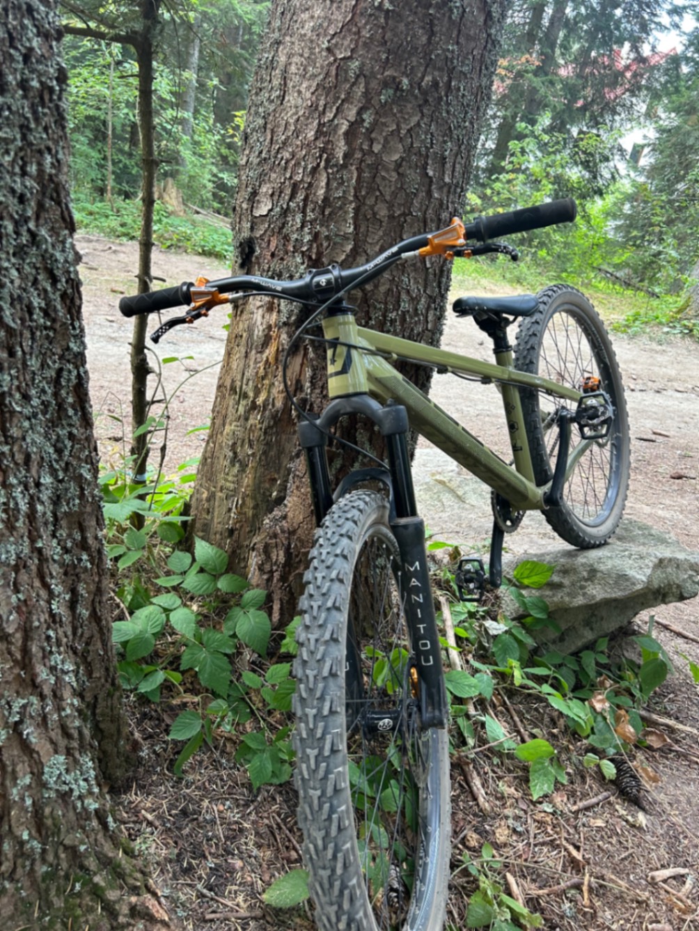 Bike view 5