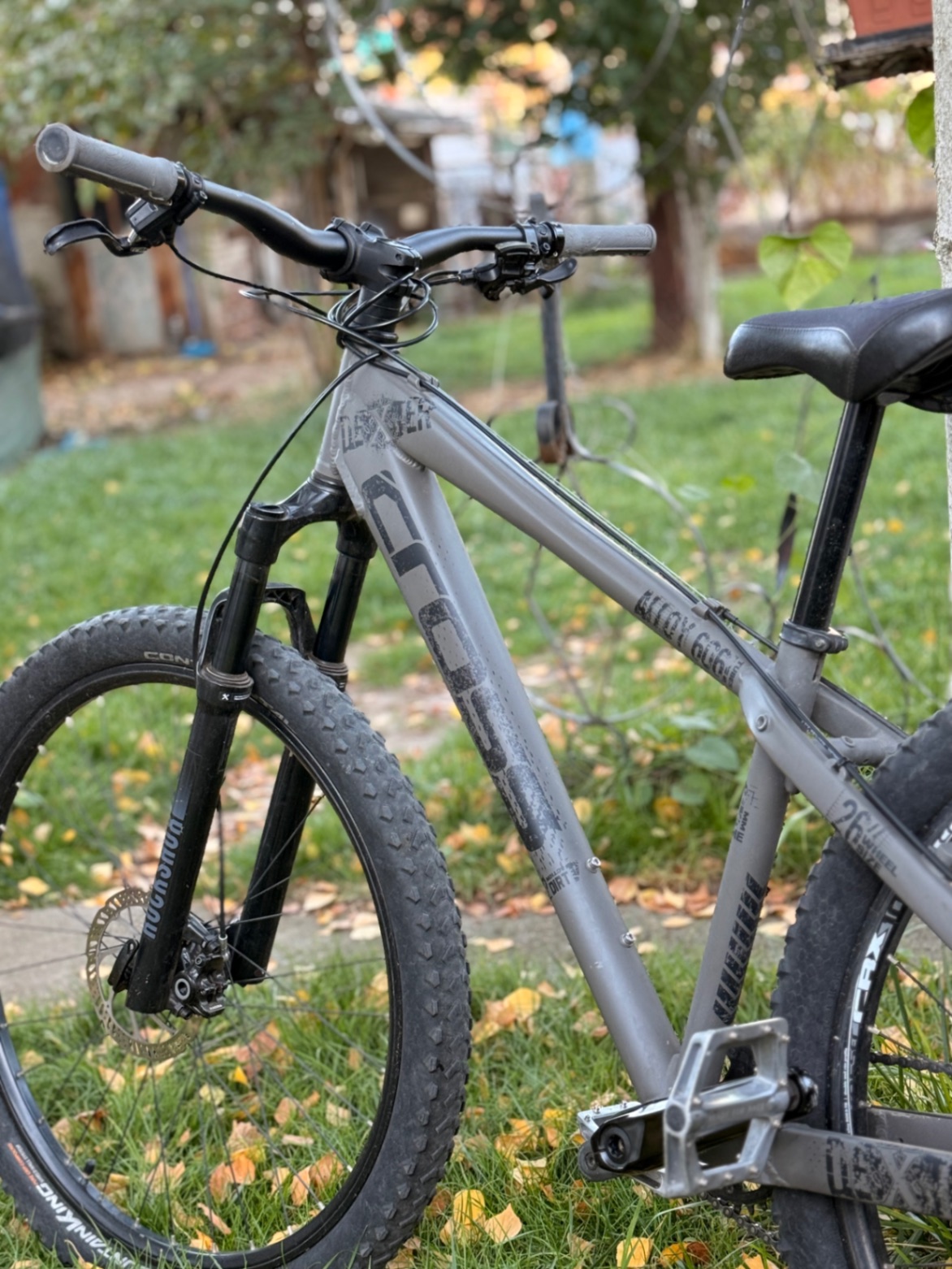Bike view 6