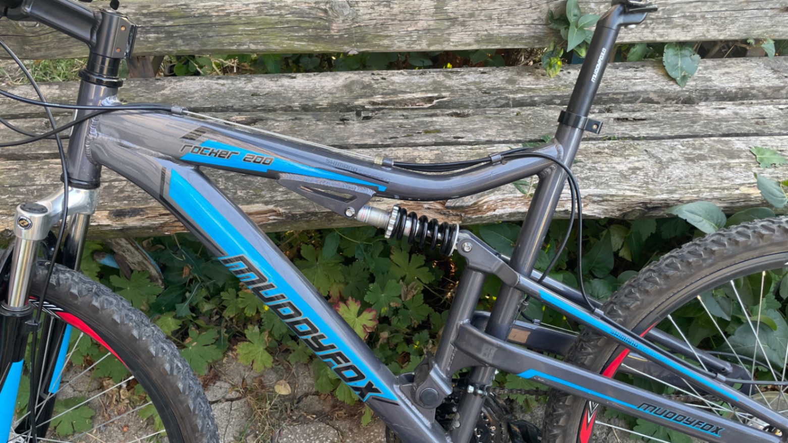 Bike view 10