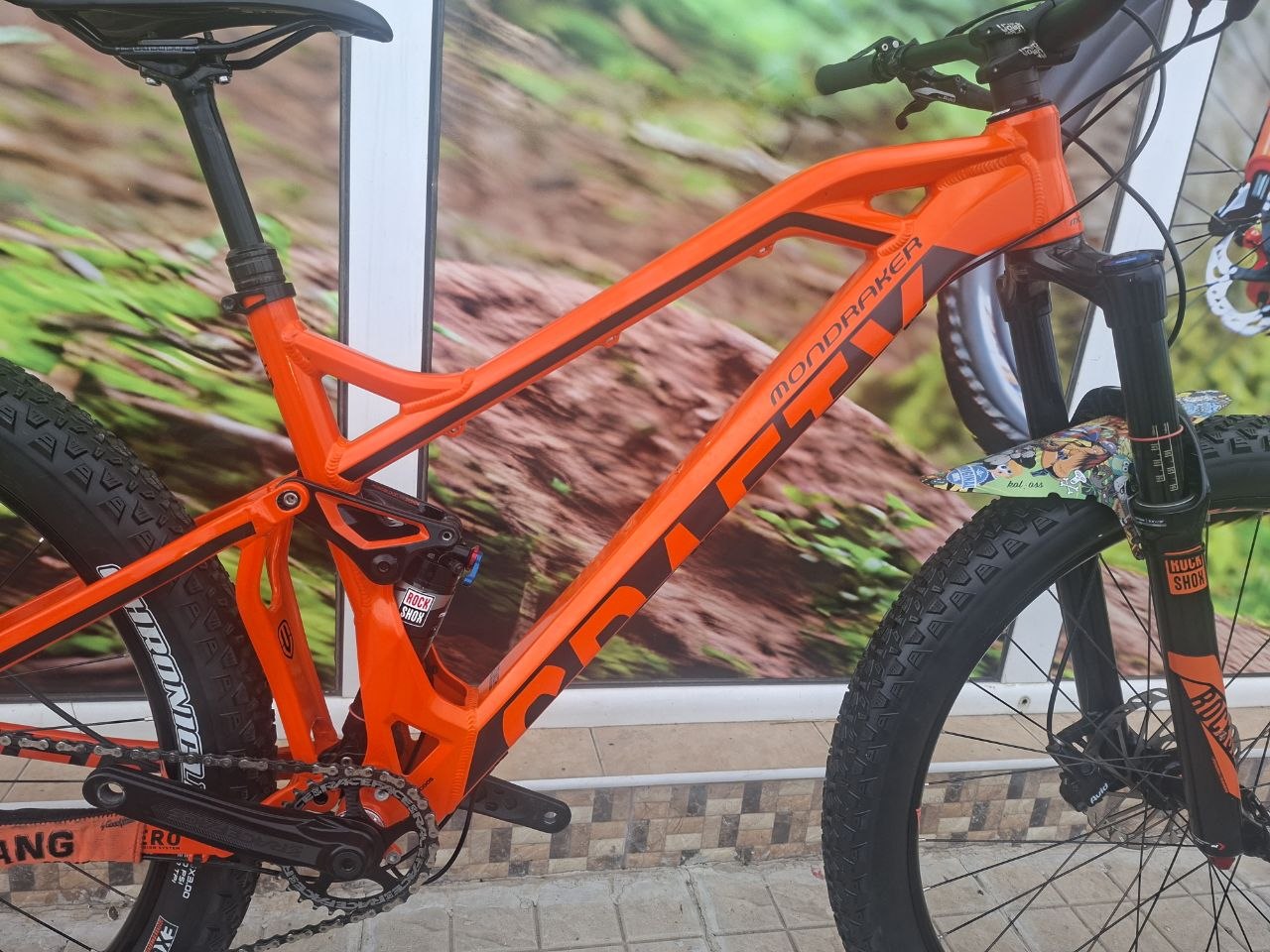 Bike view 6
