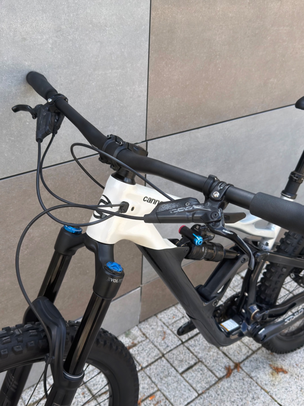 Cannondale Jekyll Carbon 2 view 8