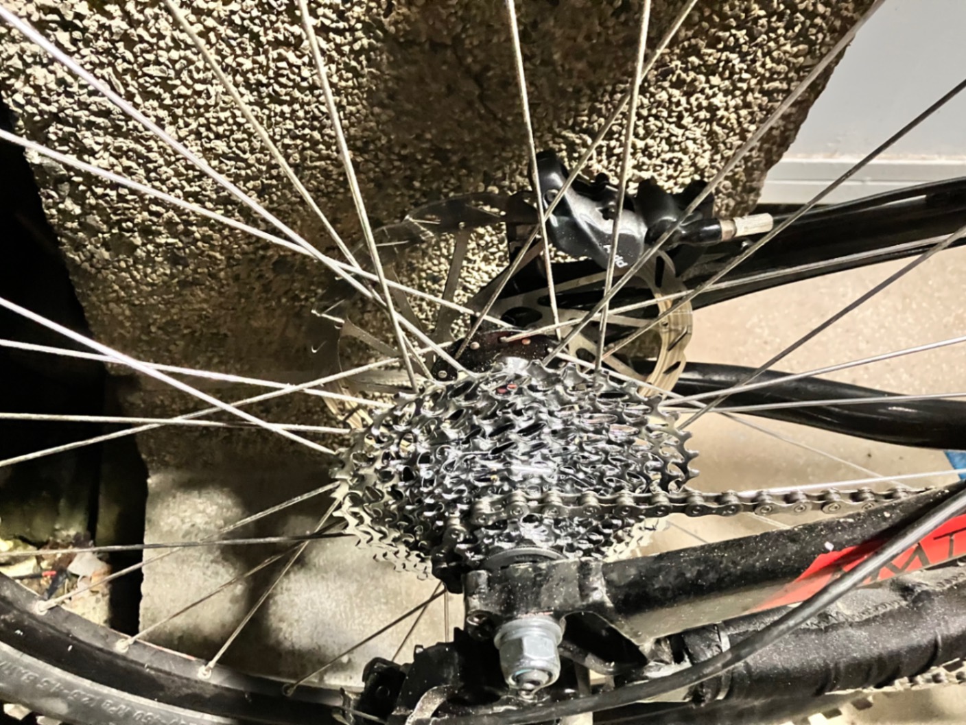 Bike view 9