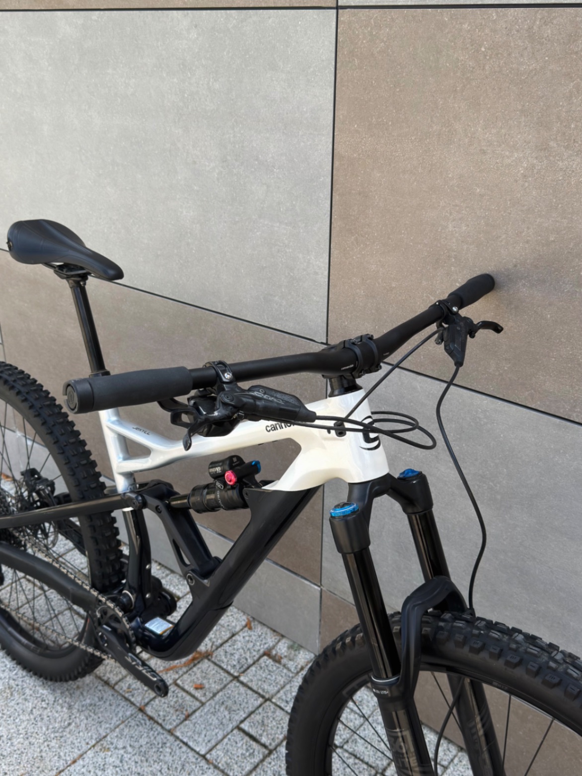 Cannondale Jekyll Carbon 2 view 4