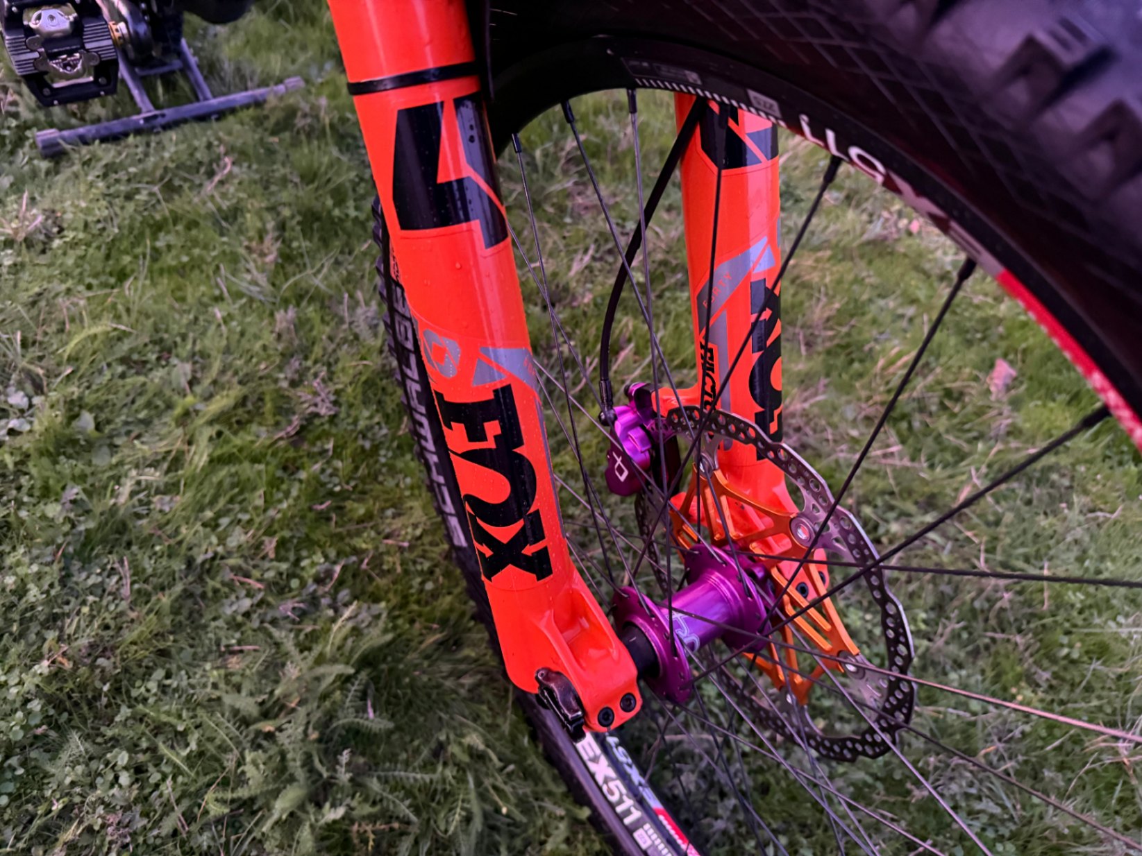 Bike view 11