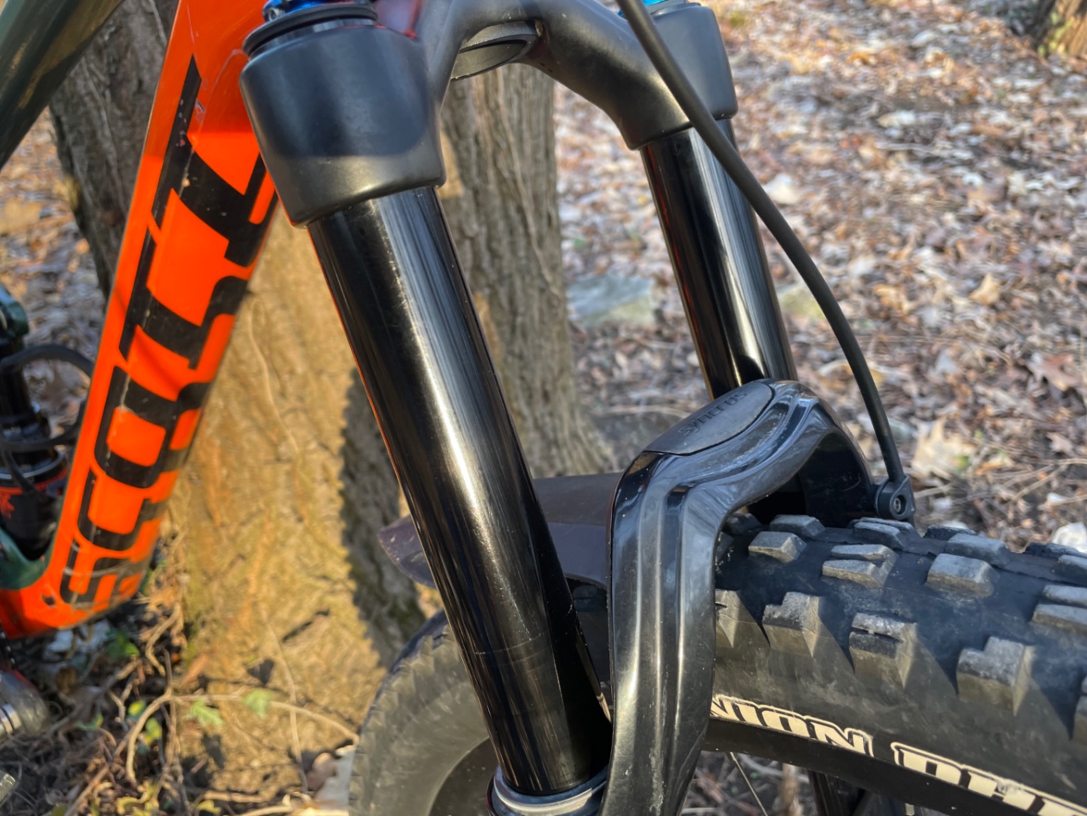 Bike view 5