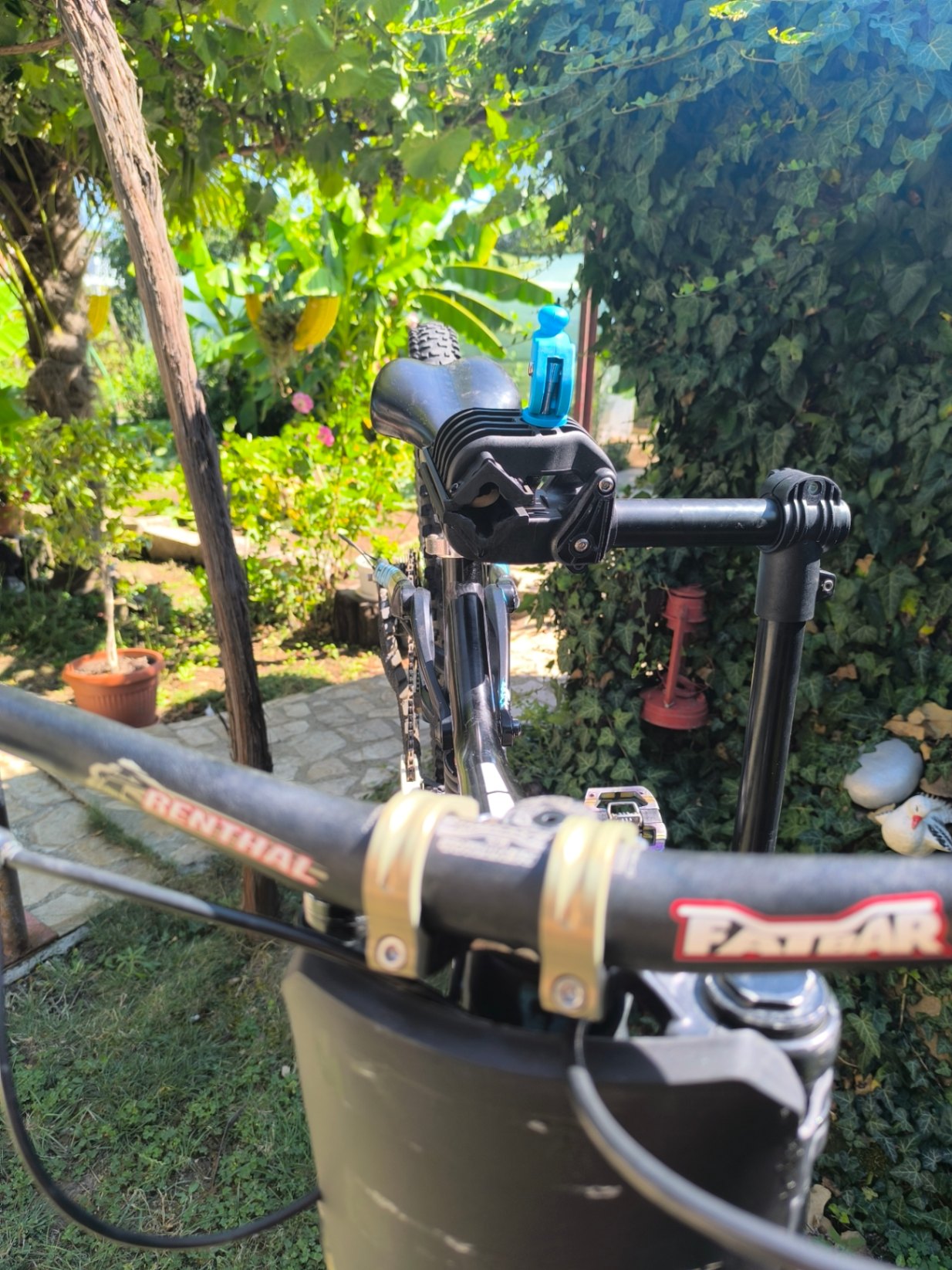 Bike view 11