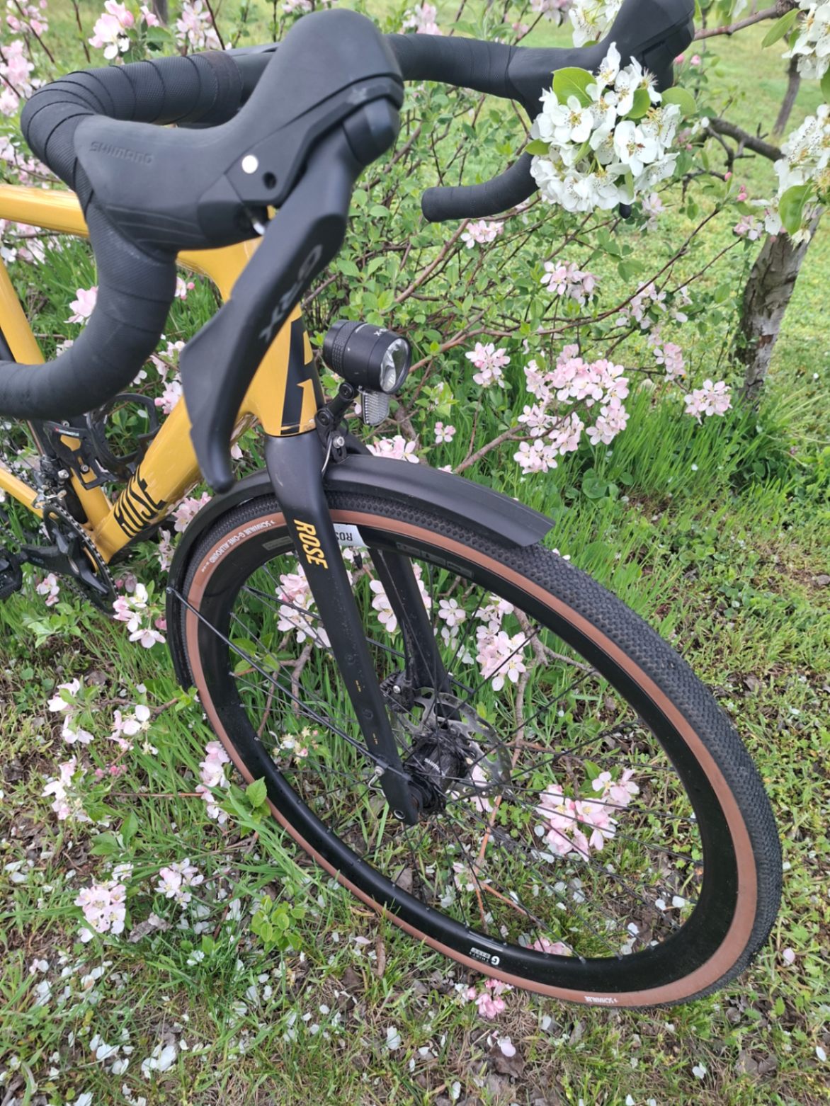 Bike view 2