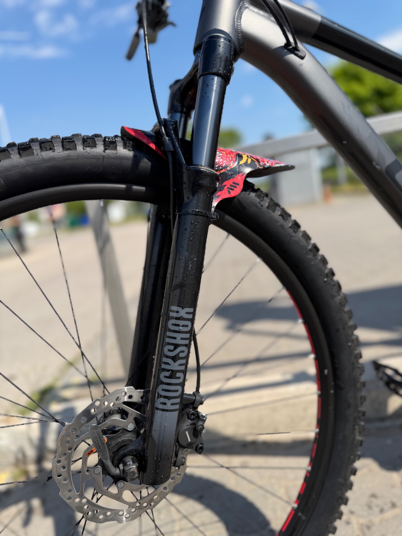 Bike view 4