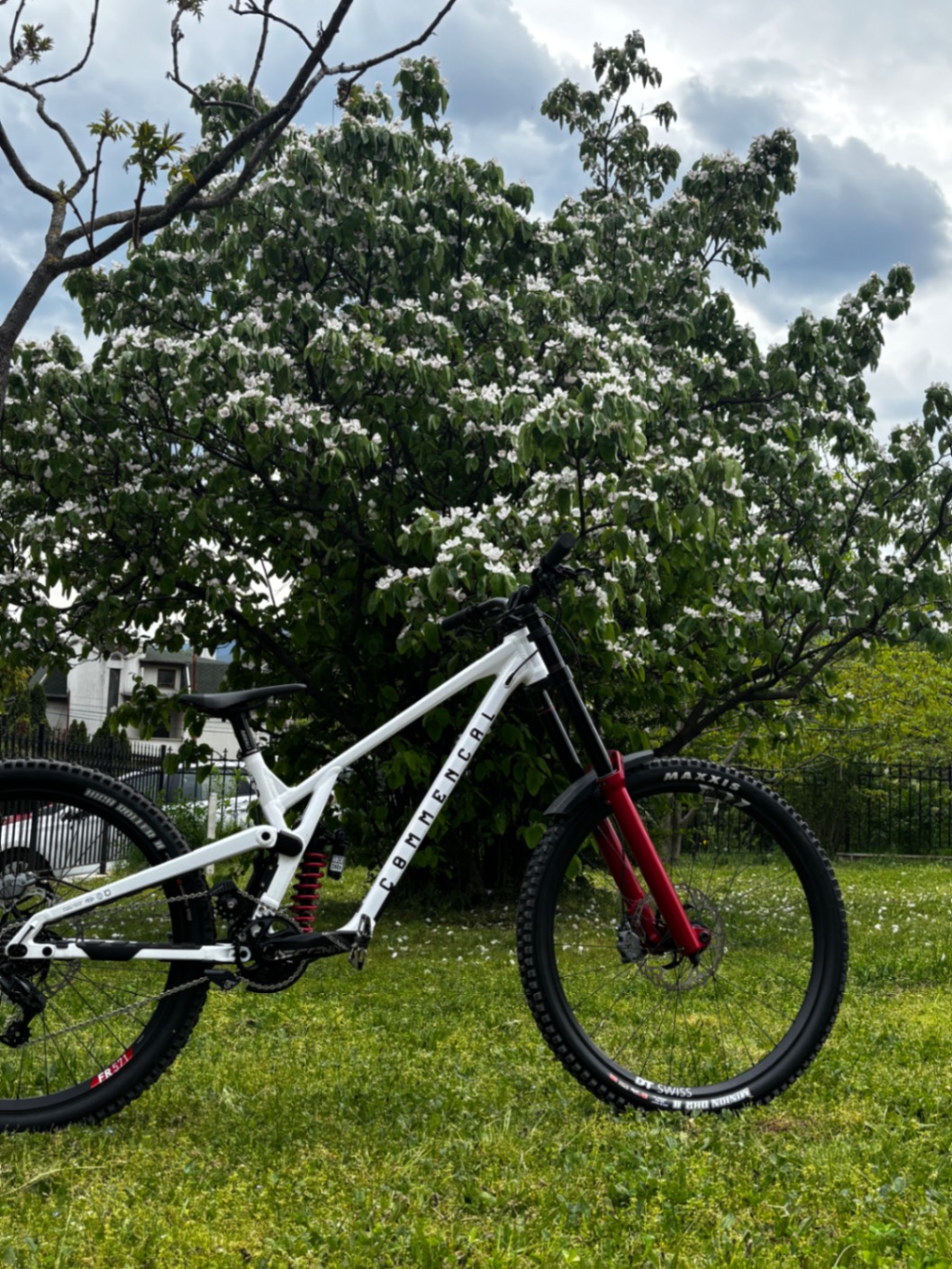 Bike view 7