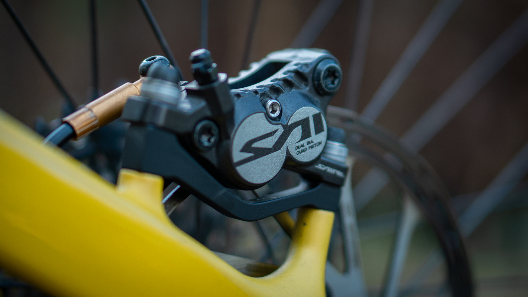 Bike view 11