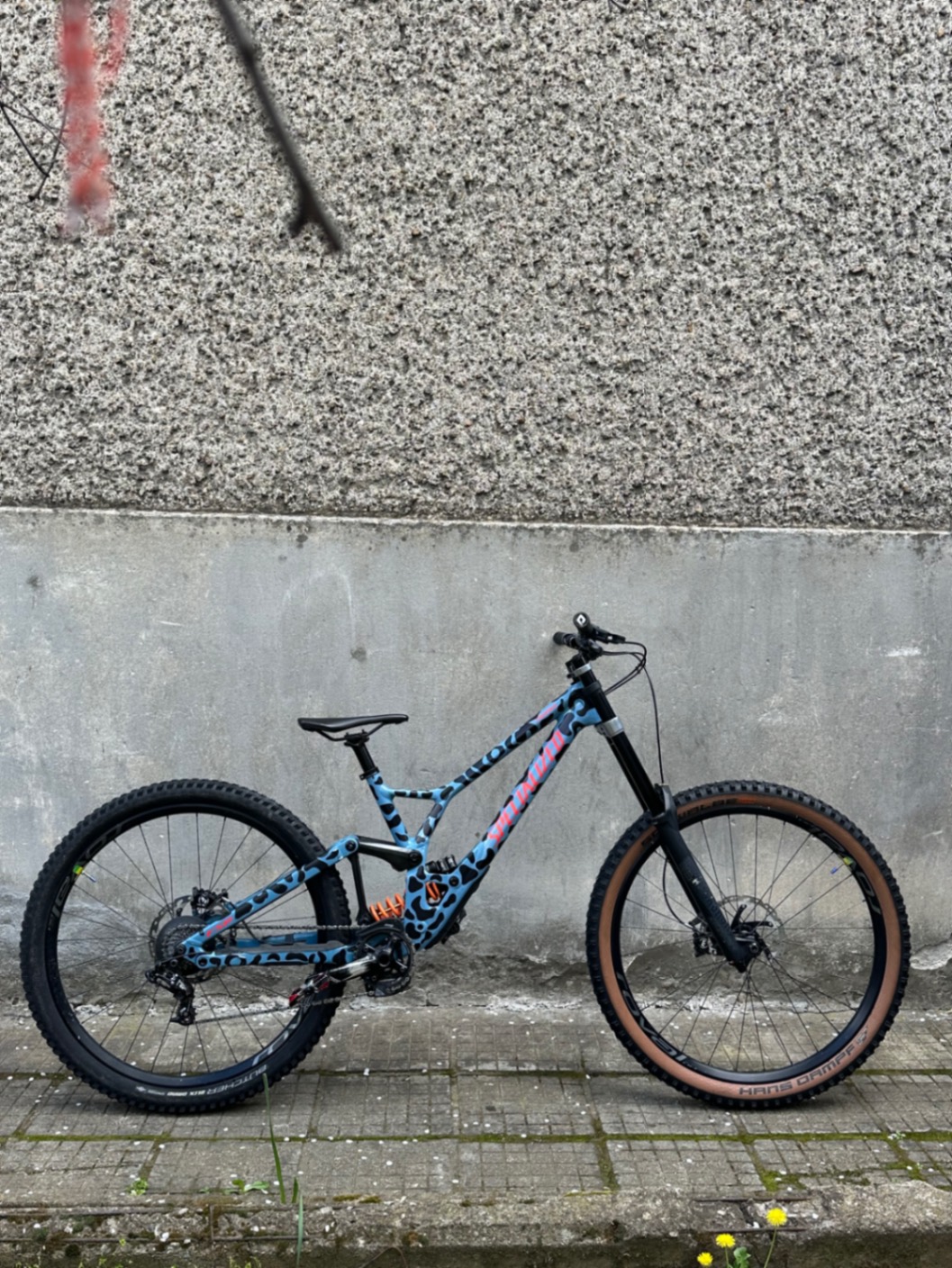 Bike view 6