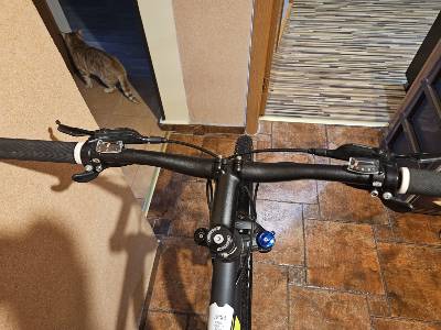 Bike view 6