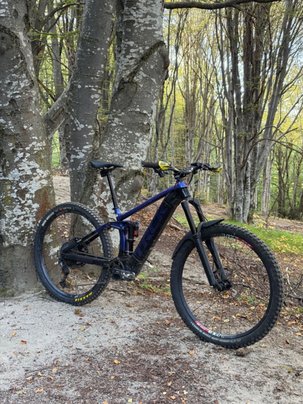 Trek Rail 5