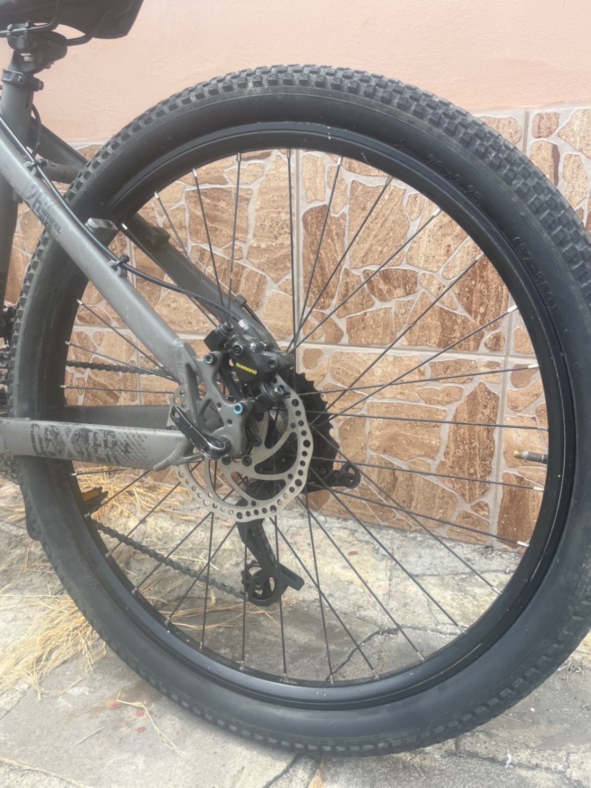 Bike view 8