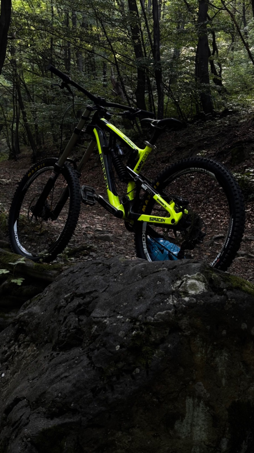 Bike view 5
