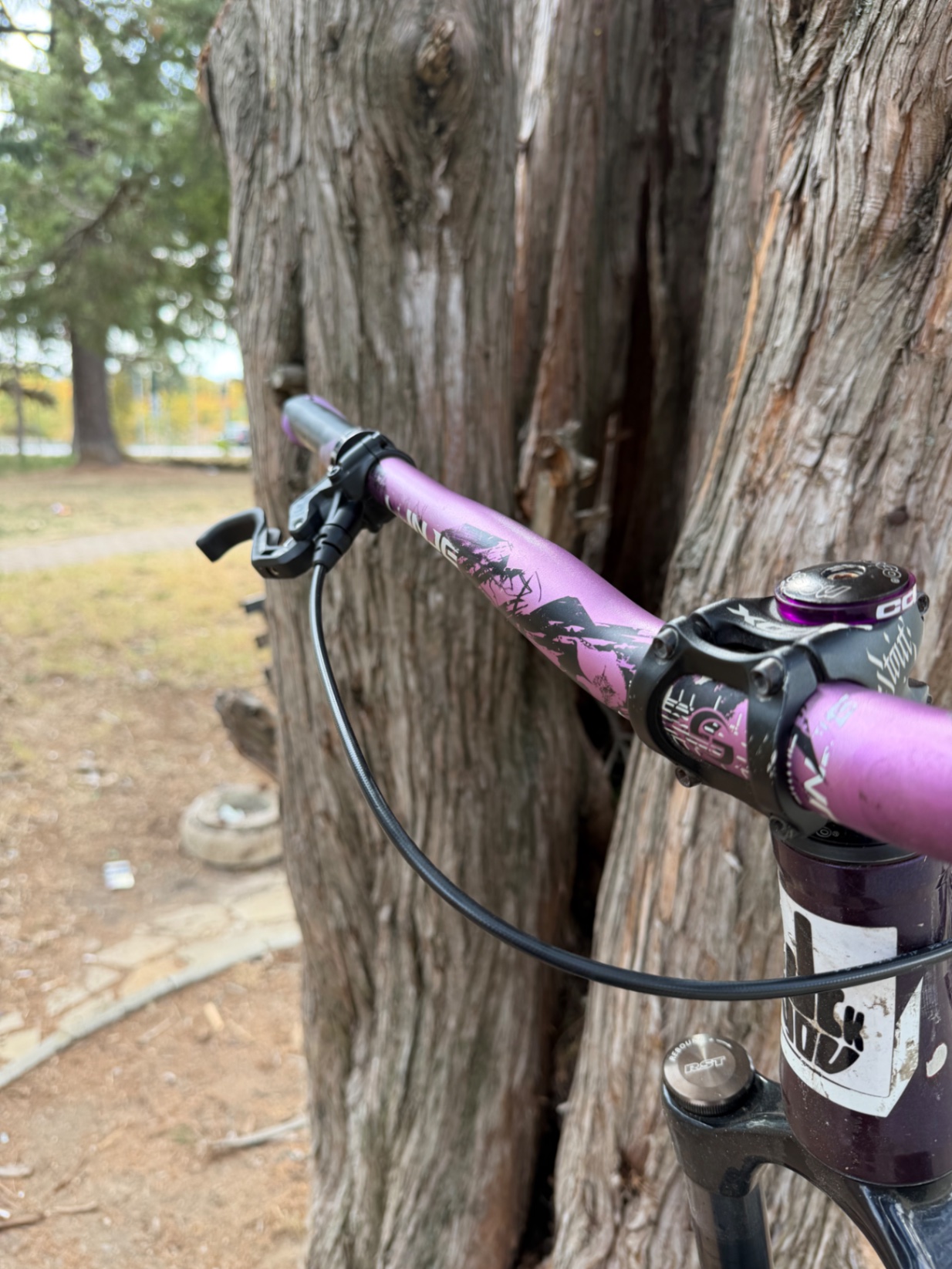 Bike view 4