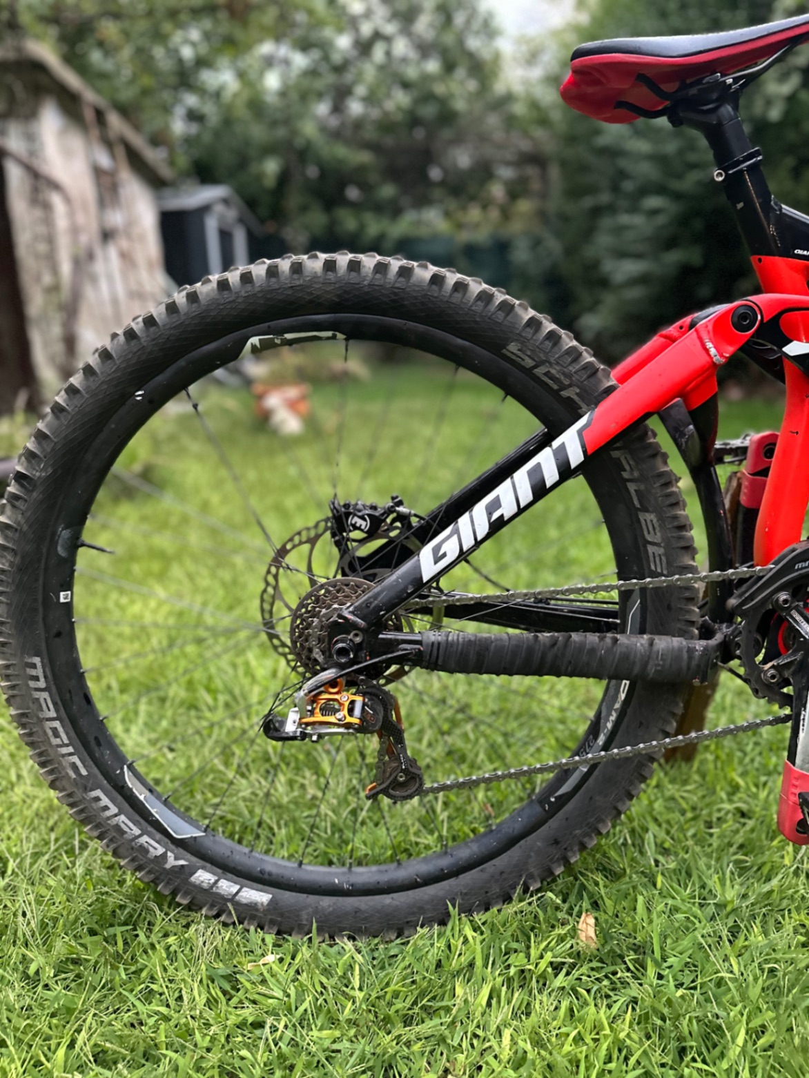 Bike view 9
