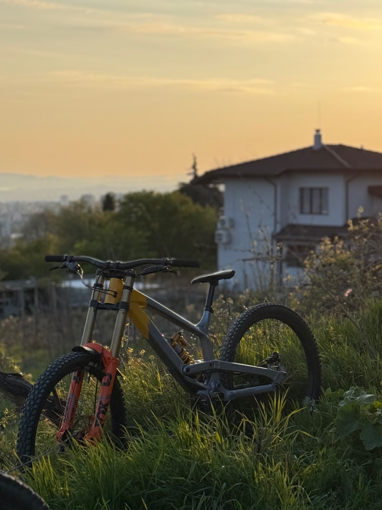 Bike view 6