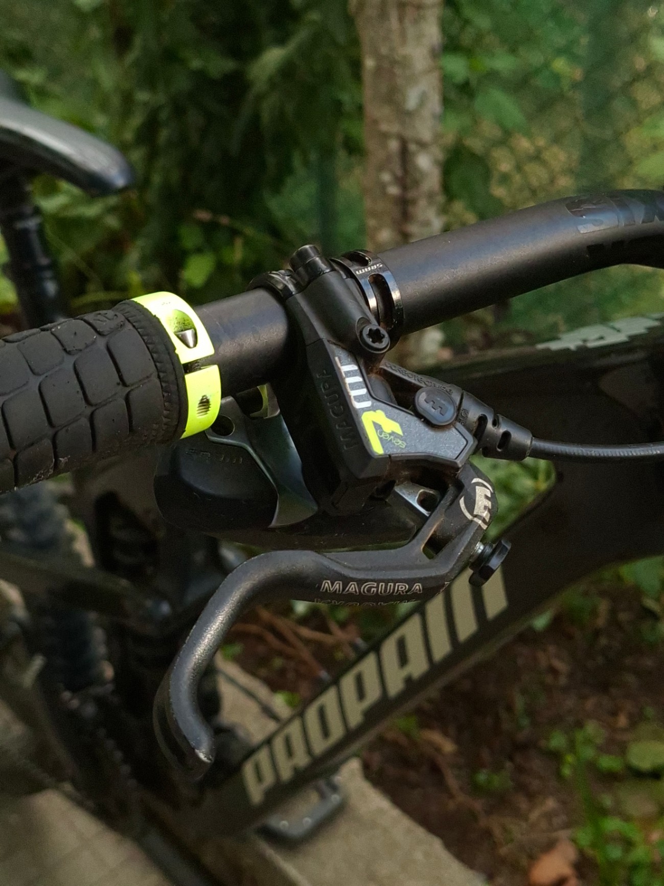 Bike view 10
