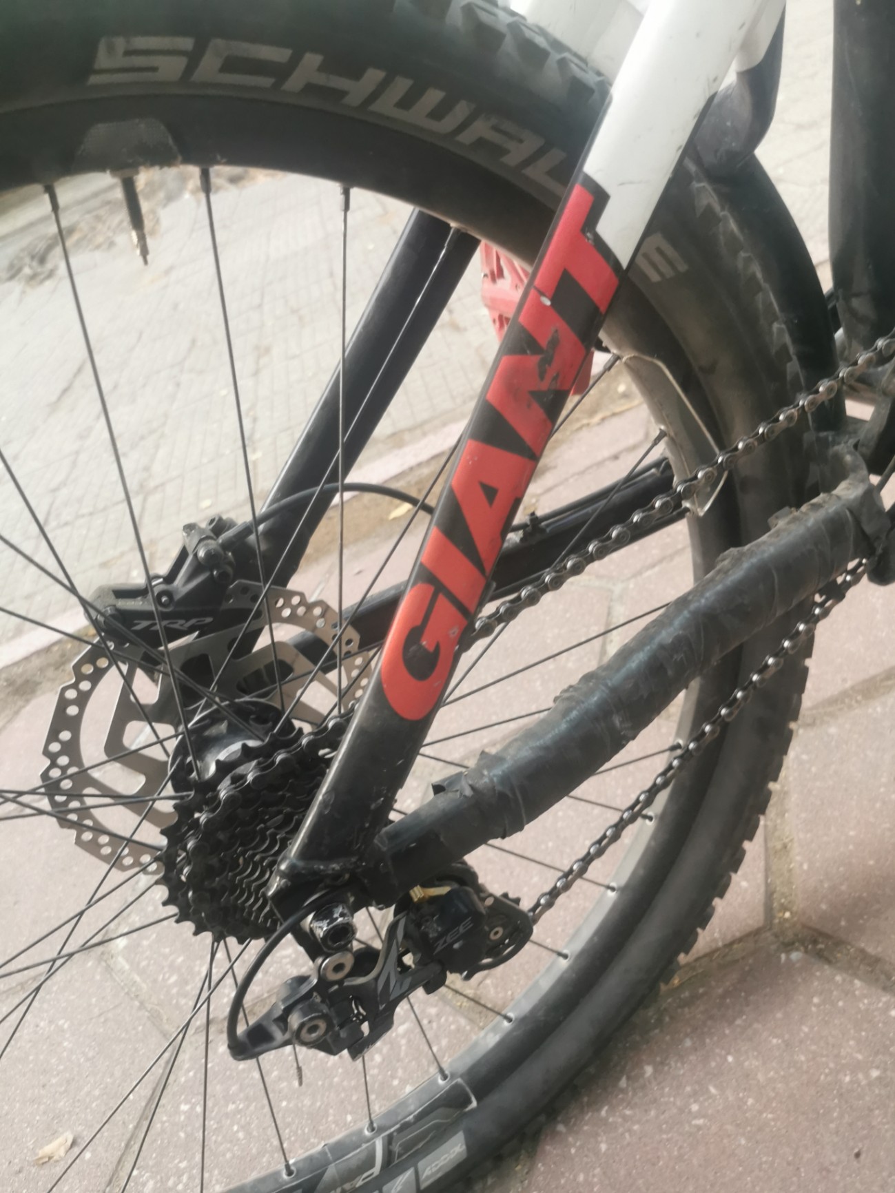 Bike view 9