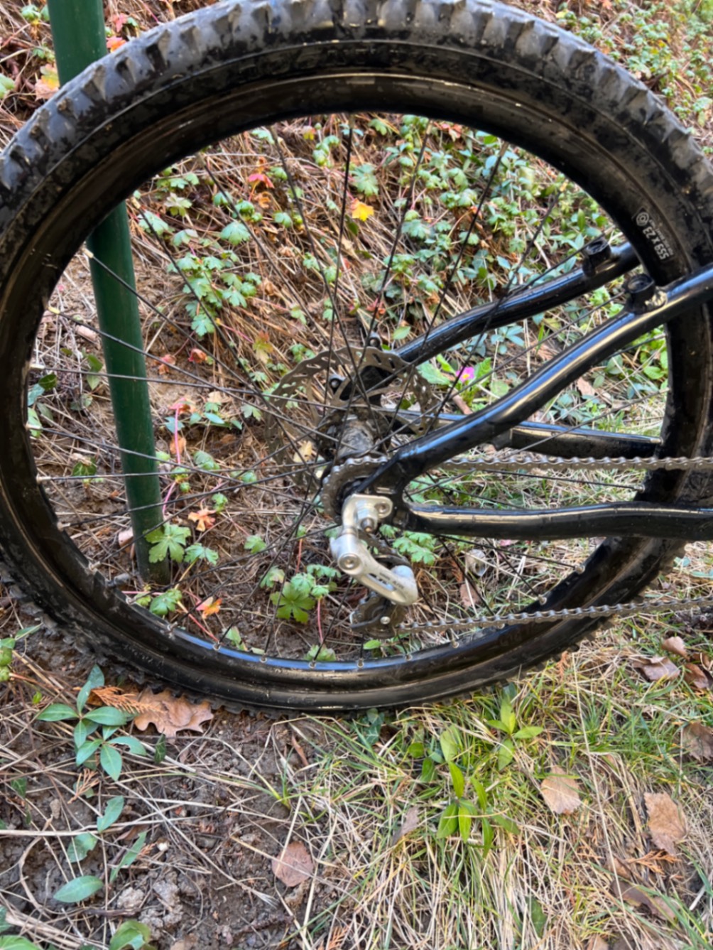 Bike view 4
